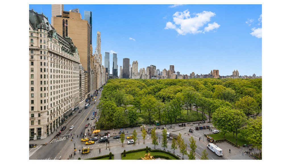 781 Fifth Avenue, Unit 1101 photo 4