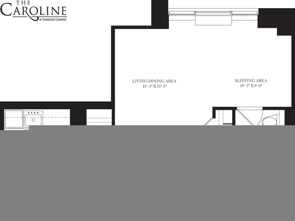 60 West 23rd Street 927 Flatiron District New York NY 10010