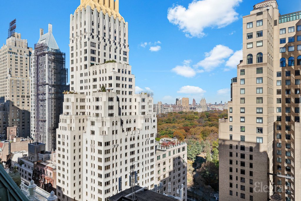 58 West 58th Street, Unit 26F photo 9