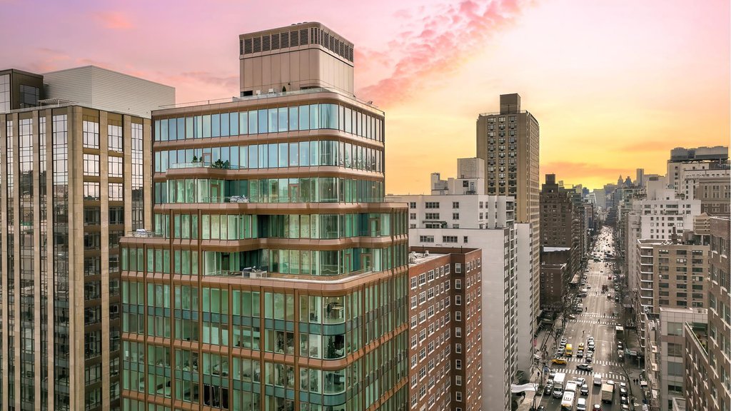 200 East 20th Street, Unit PHA photo 9