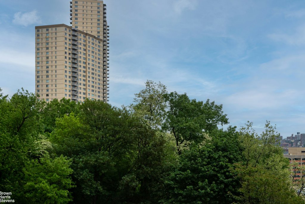 2500 Johnson avenue, Unit 3B photo 40