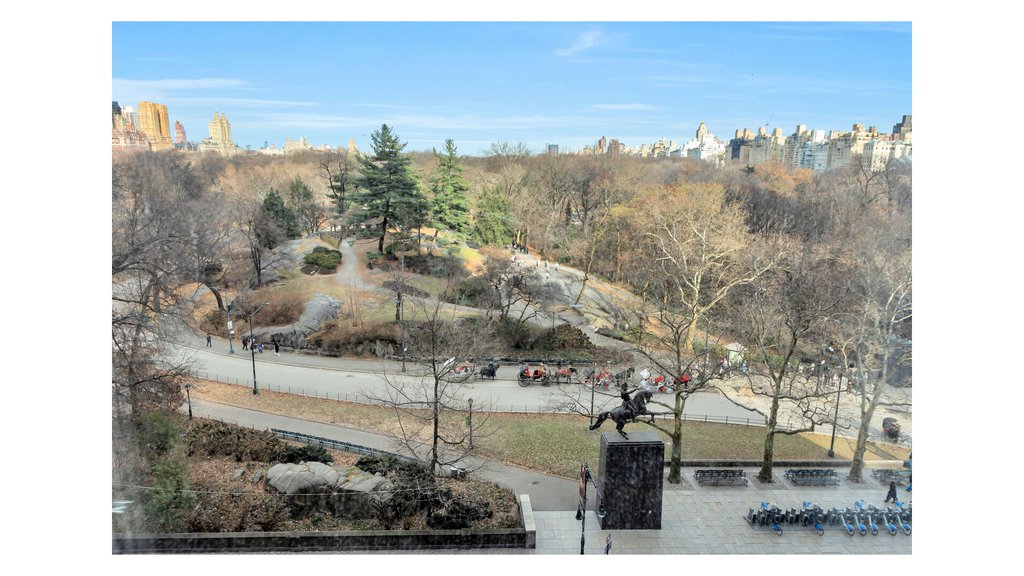 110 Central Park South, Unit 8B photo 17