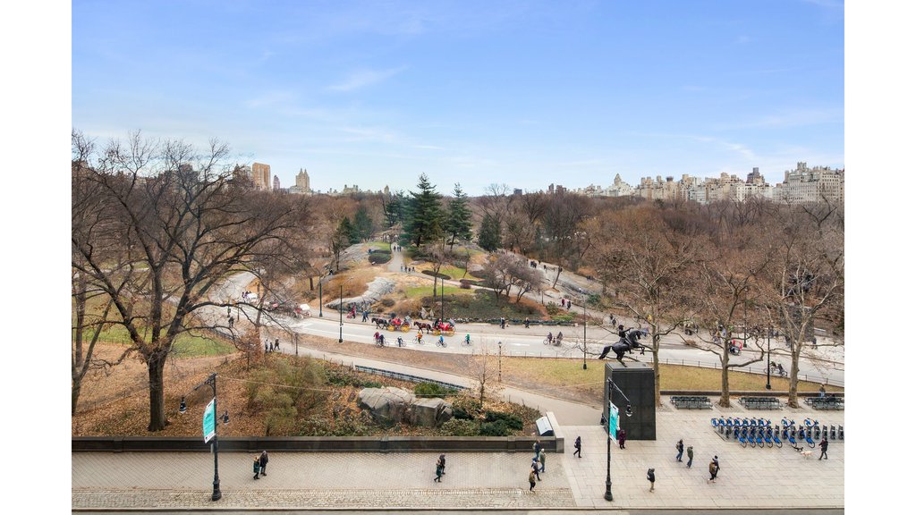 110 Central Park South, Unit 8B