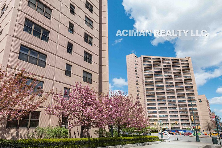 220 Manhattan Avenue, Unit 1F photo 10