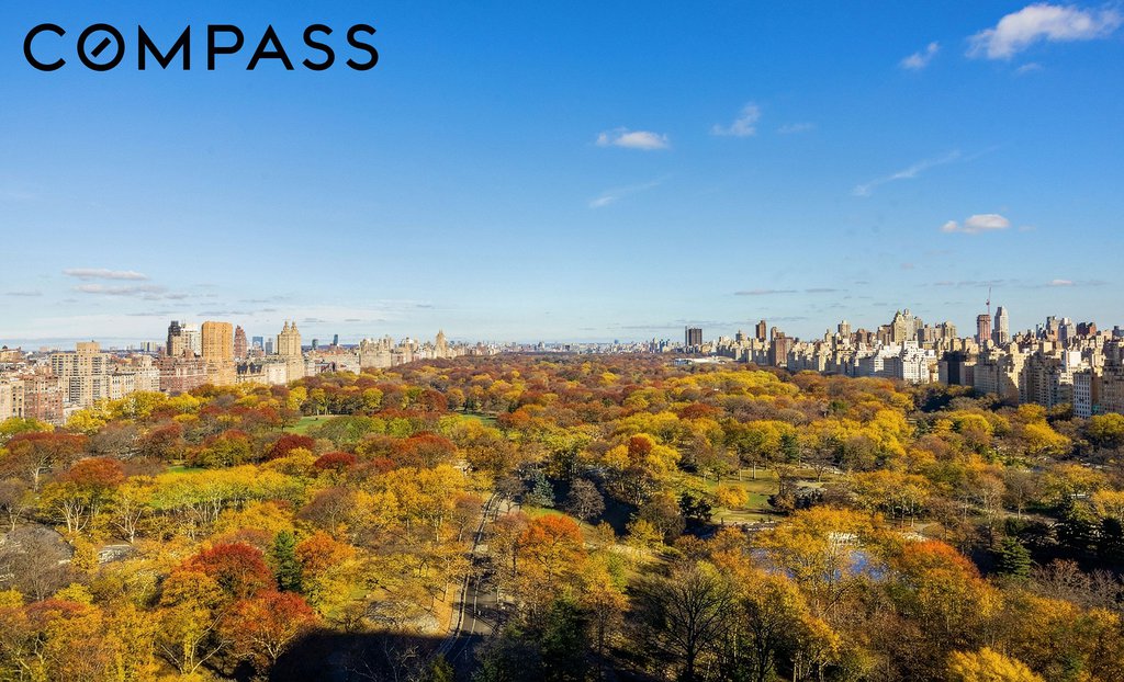 110 Central Park South, Unit PH1 photo 11