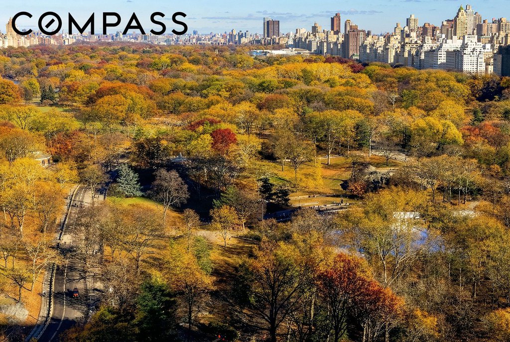 110 Central Park South, Unit PH1 photo 12