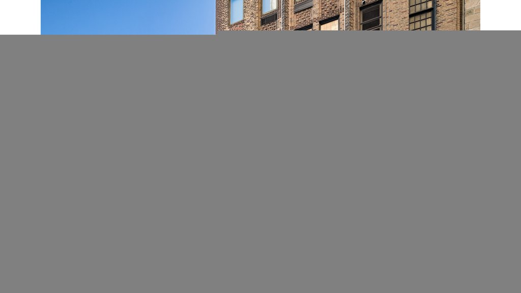 450 East 52nd Street, Unit 15 photo 17
