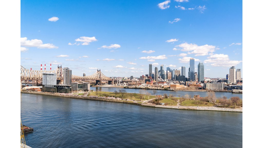 450 East 52nd Street, Unit 15 photo 20