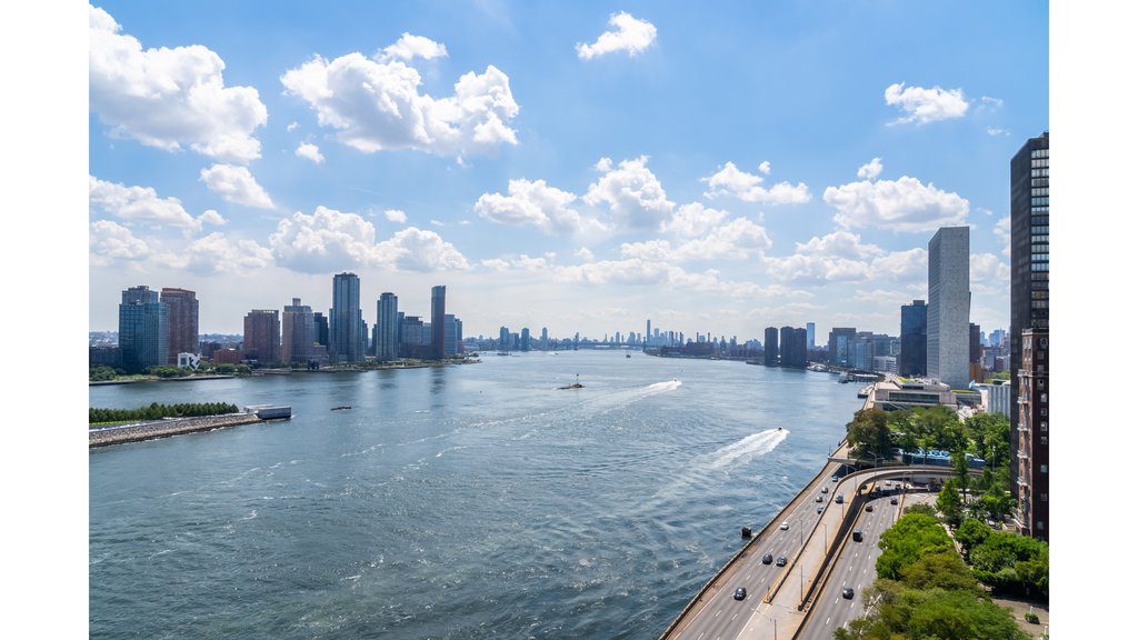 450 East 52nd Street, Unit 15 photo 22