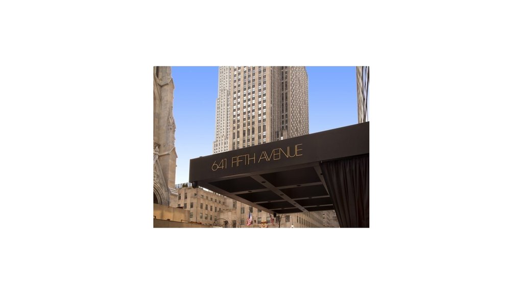 641 Fifth Avenue, Unit 35A photo 9