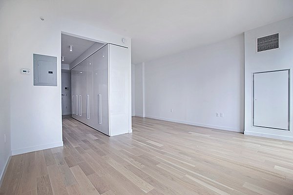 540 West 49th Street, Unit 509N photo 5