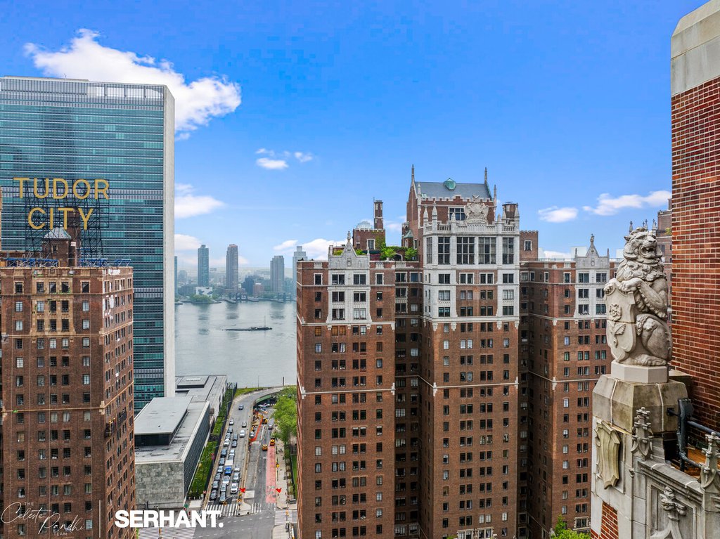 320 East 42nd Street, Unit 2301 photo 19