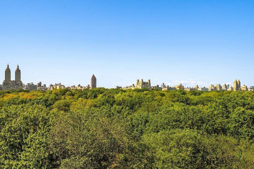 930 Fifth Avenue, Unit 11A photo 13