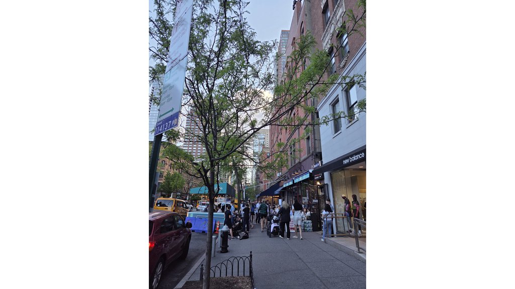 136 West 70th Street, Unit 3 photo 9
