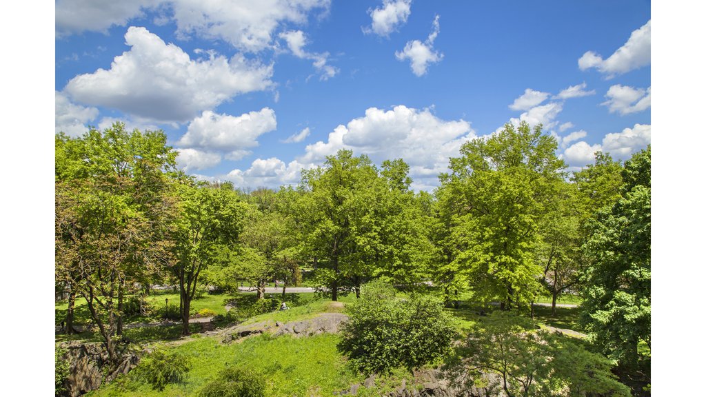 160 Central Park South, Unit 401 photo 4