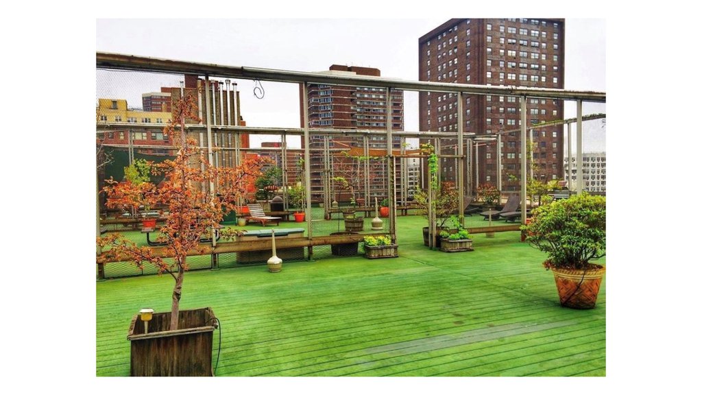 215 East 24th Street, Unit 820 photo 6
