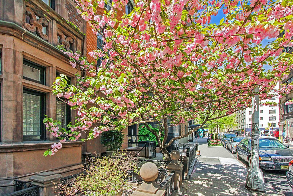 200 East 16th Street, Unit 4B photo 9
