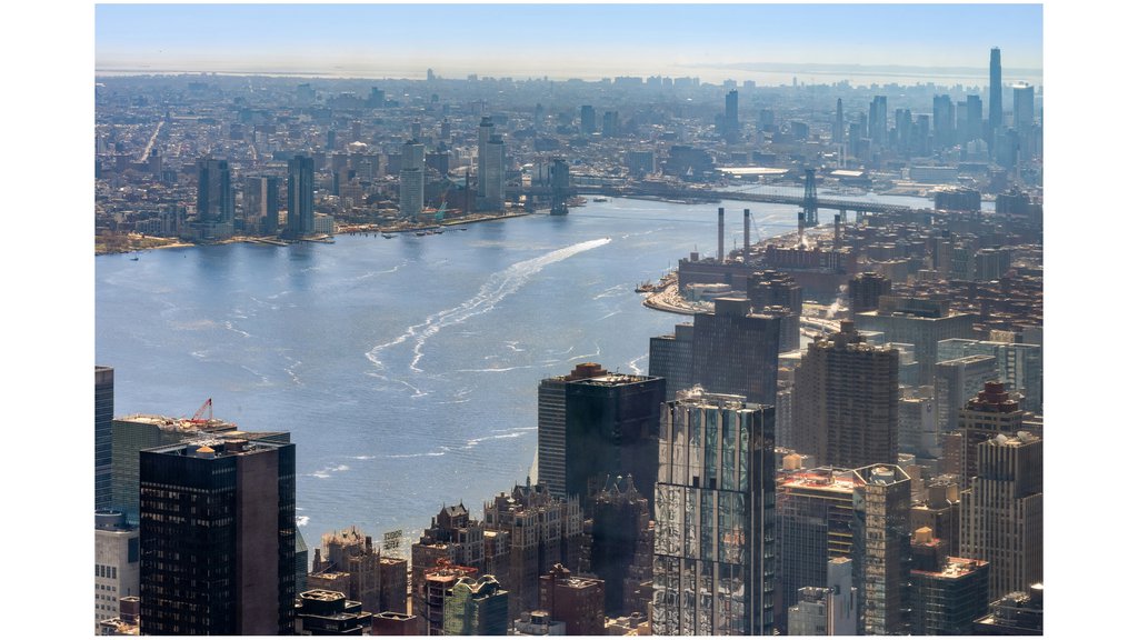 432 Park Avenue, Unit 81A photo 9