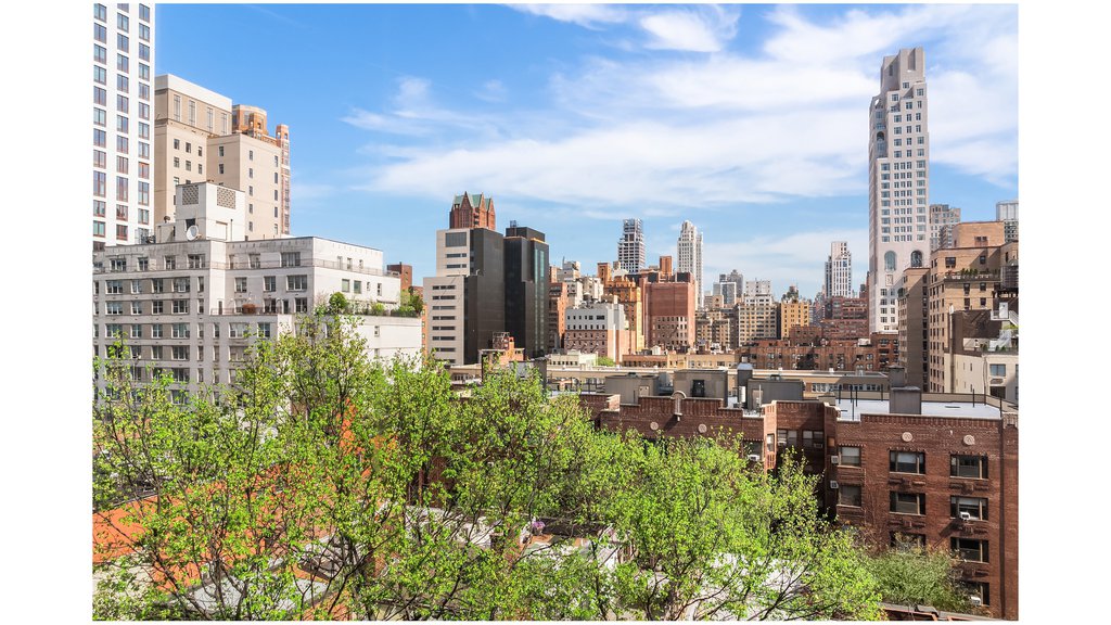 235 East 73rd Street, Unit 10F photo 8