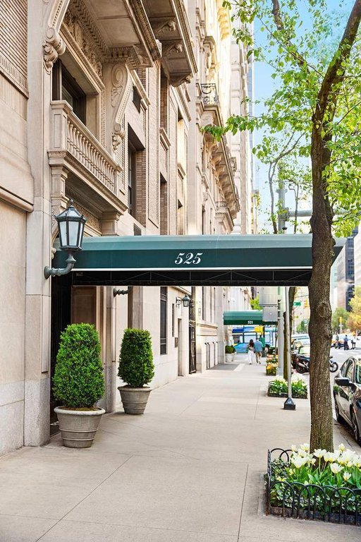 525 Park Avenue, Unit 10C photo 11