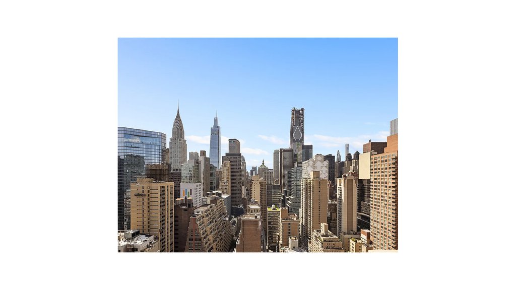 310 East 46th Street, Unit 19S photo 10