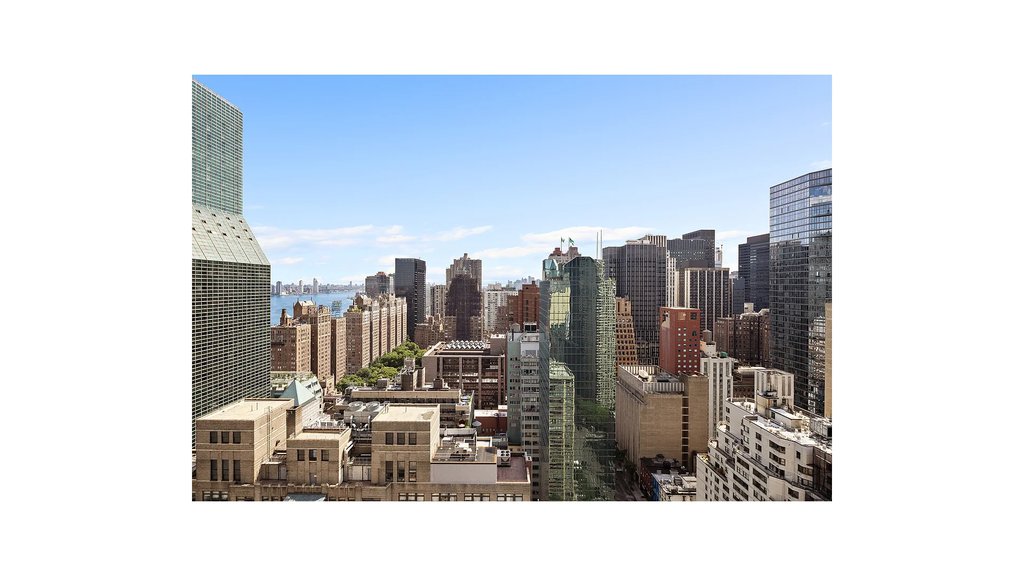 310 East 46th Street, Unit 19S photo 11