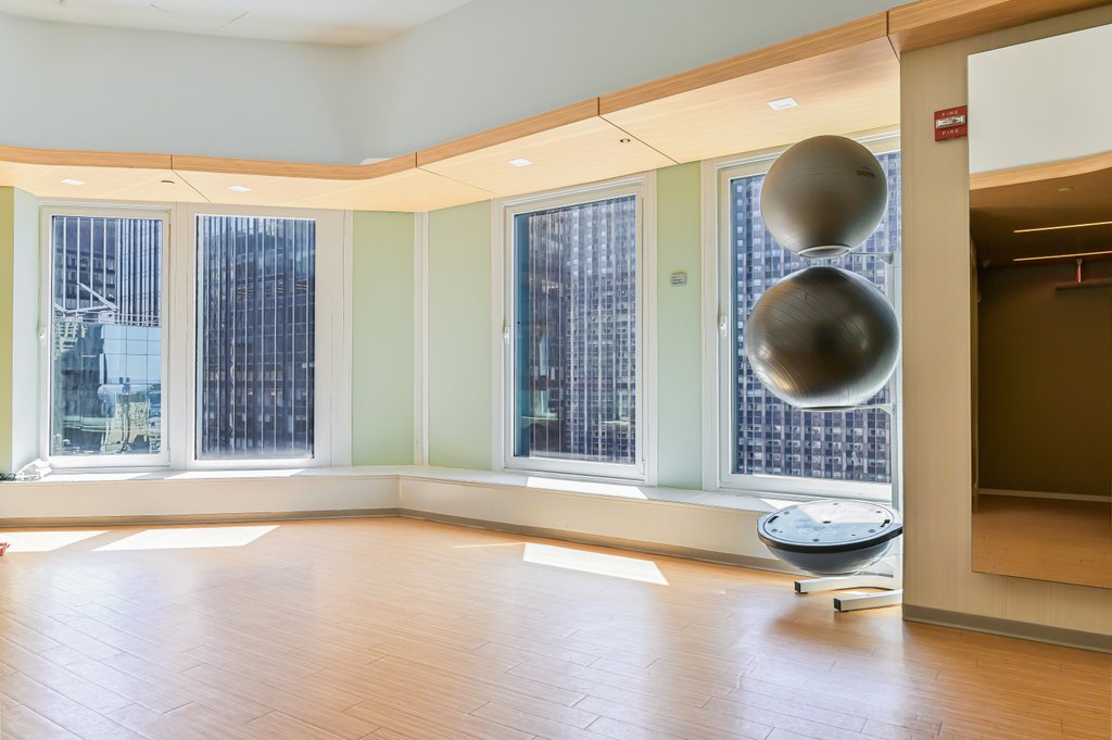 150 West 56th Street, Unit 4508 photo 19