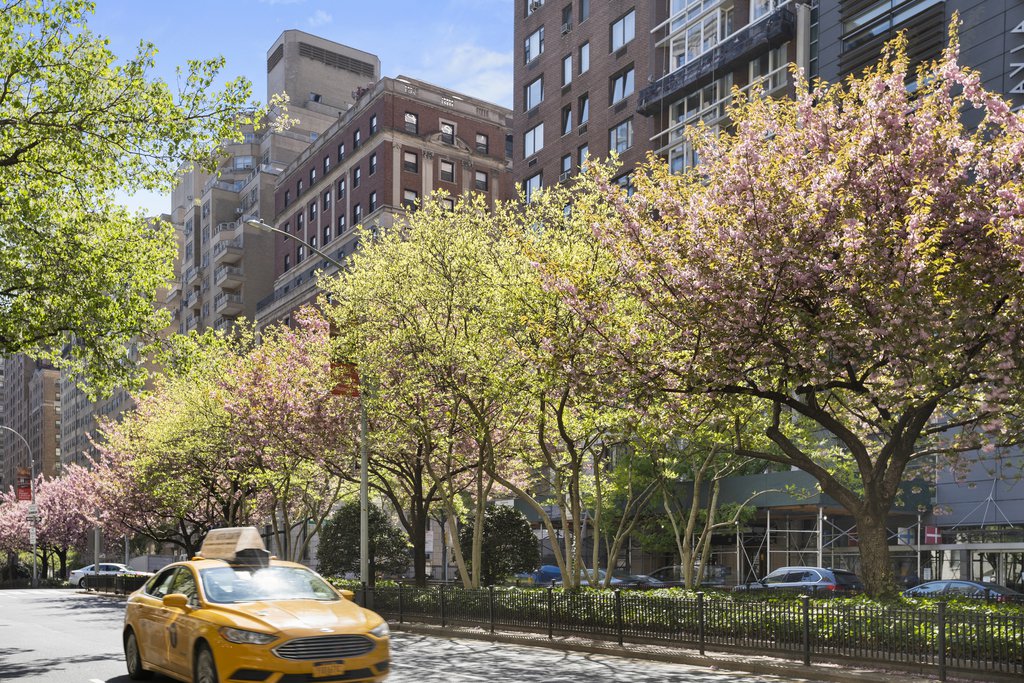 71 Park Avenue, Unit 3B photo 8