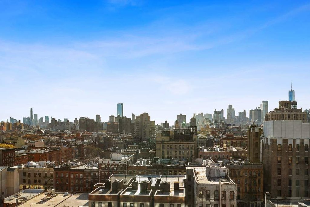 333 East 14th Street, Unit 11H photo 5