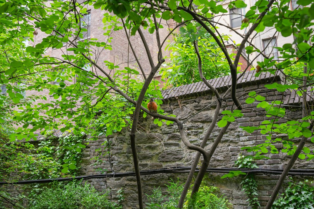 230 East 50th Street, Unit 4C photo 10