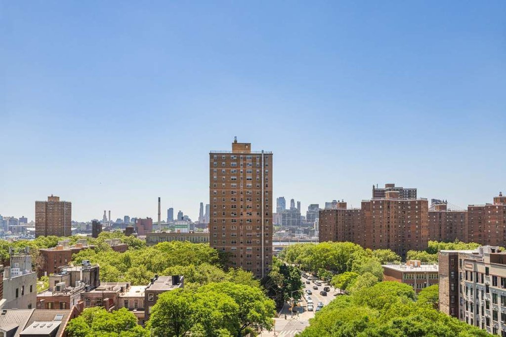 268 East Broadway, Unit A905 photo 10