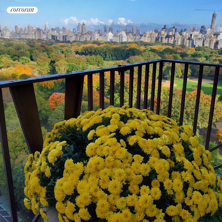 25 Central Park West, Unit 21Q photo 16