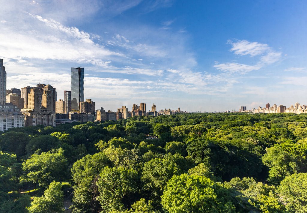 160 Central Park South, Unit 1607 photo 9