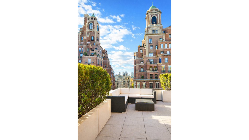 785 Park Avenue, Unit 17BC photo 2