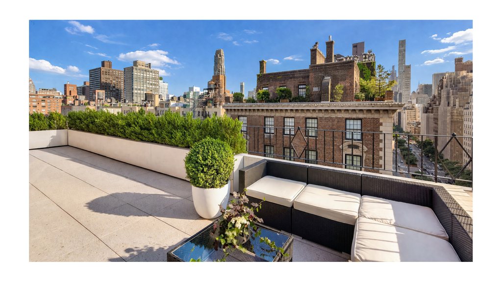 785 Park Avenue, Unit 17BC photo 10