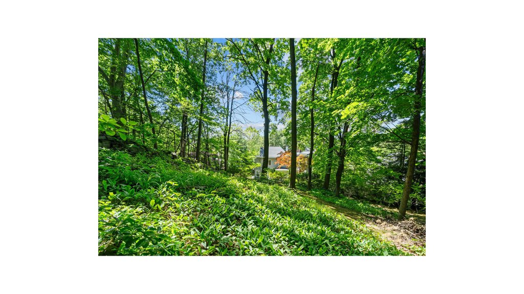 5600 Mosholu Avenue – For Sale photo 29