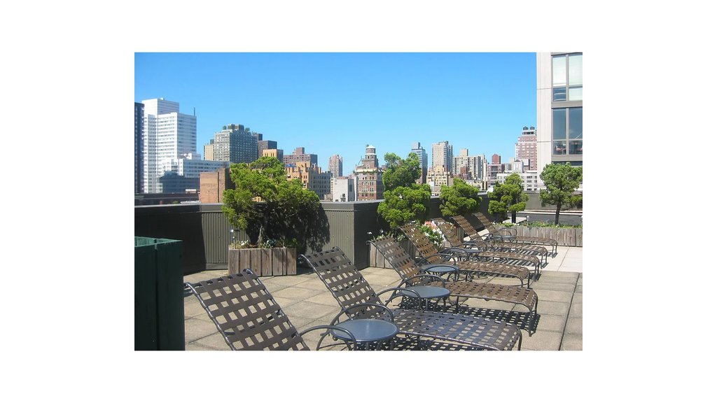 401 East 65th Street, Unit 14I photo 7