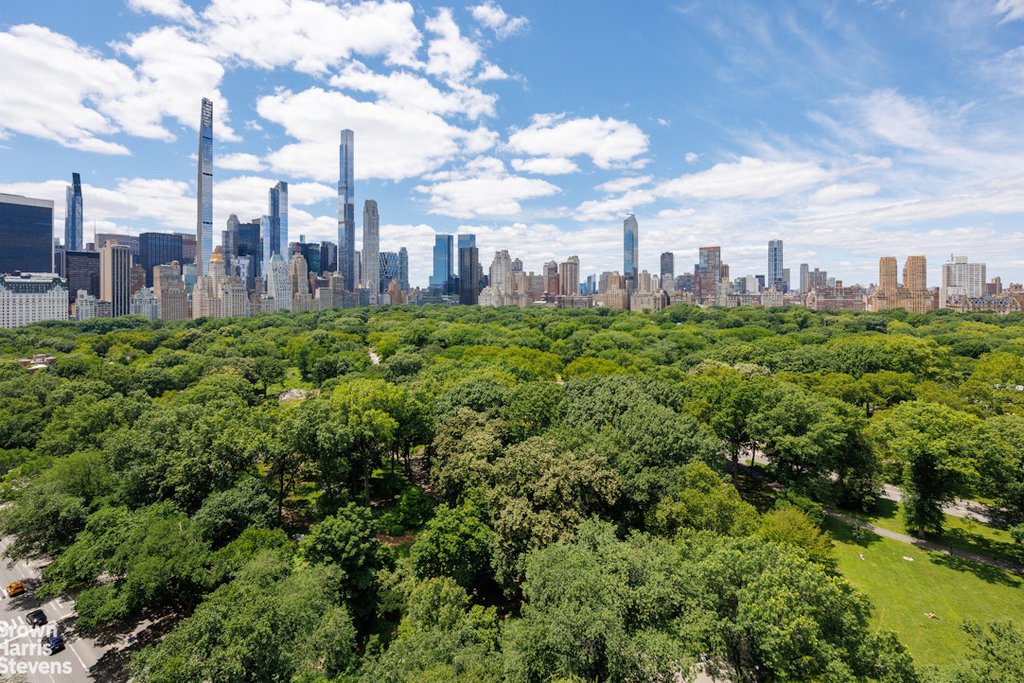 880 Fifth Avenue, Unit PHA photo 25