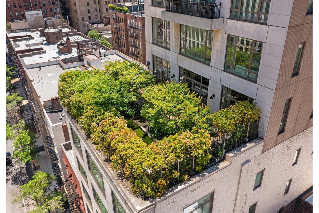 43 West 64th Street, Unit PH10B photo 18