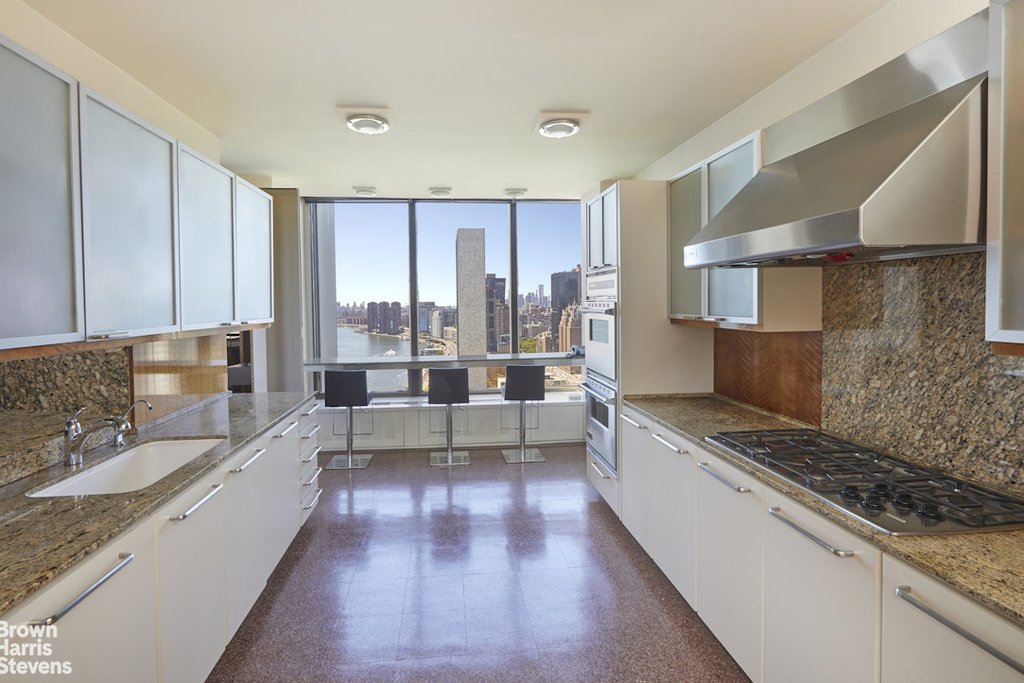 870 United Nations Plaza, Unit 33/34E photo 10