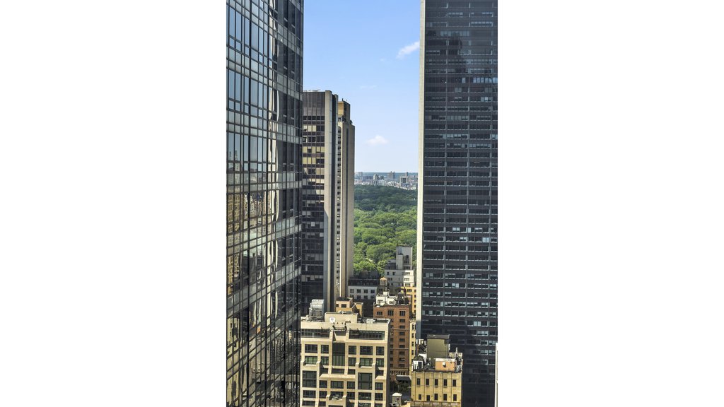 20 West 53rd Street, Unit 32B photo 7