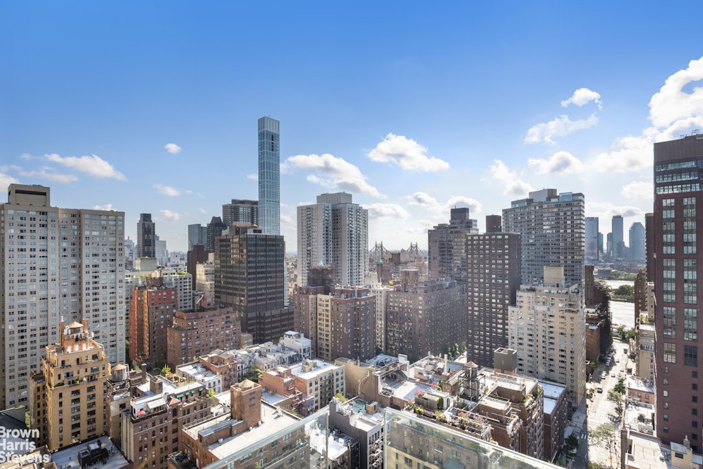 310 East 53rd Street, Unit 25A photo 13