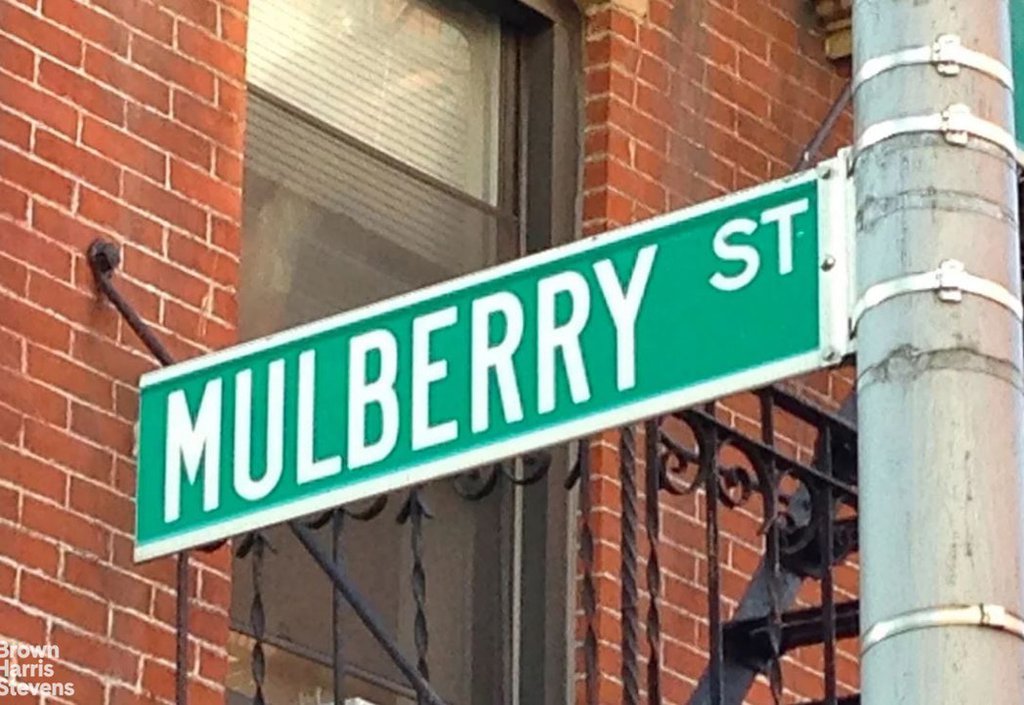 133 Mulberry Street, Unit 5A photo 12