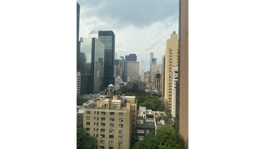 236 East 47th Street, Unit 15E photo 6