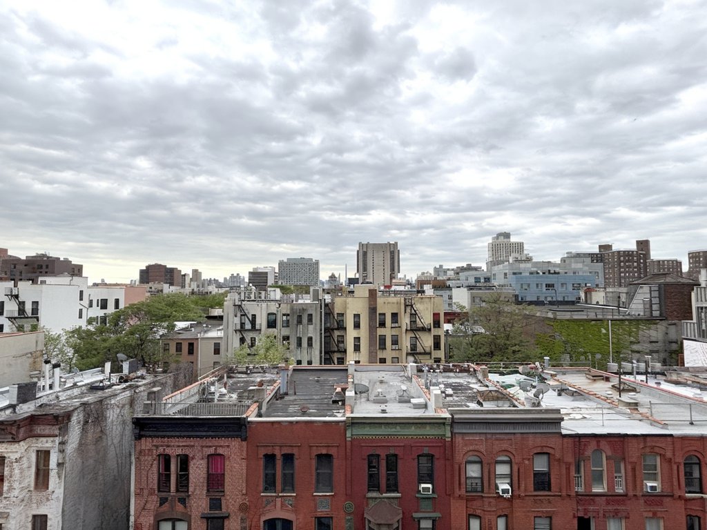161 West 133rd Street, Unit 5B photo 9