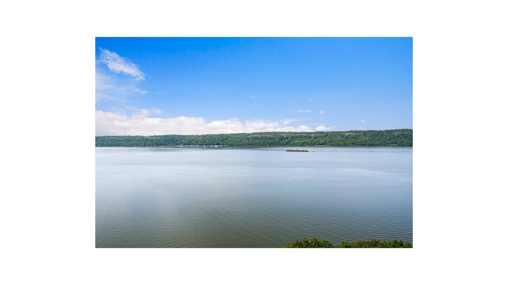 2575 Palisade Avenue, Unit 12AB photo 38