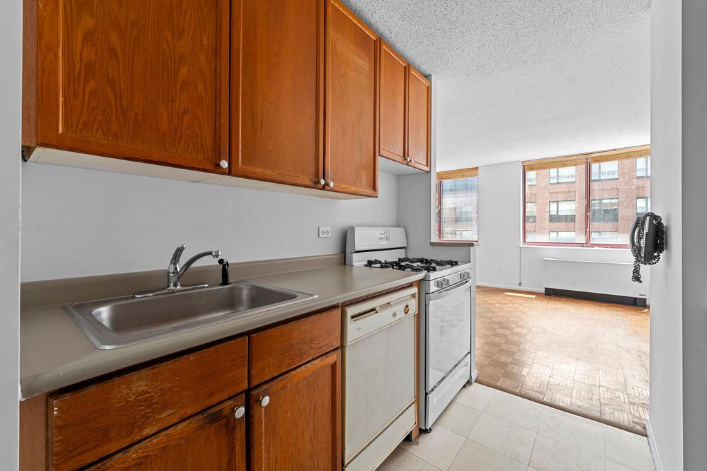 4-74 48th Avenue, Unit 9N photo 10