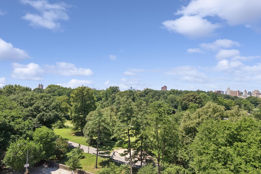 1255 Fifth Avenue, Unit 6C photo 8