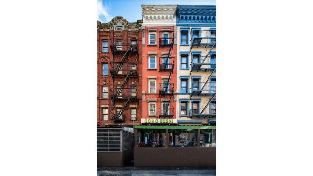 231 Sullivan Street, Unit 1 photo 10