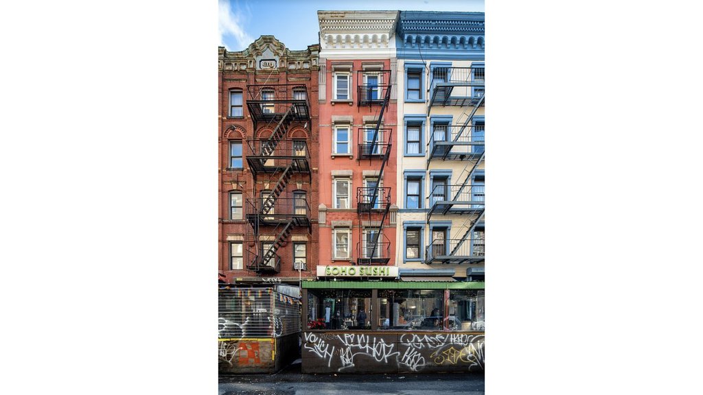 231 Sullivan Street, Unit 1 photo 11